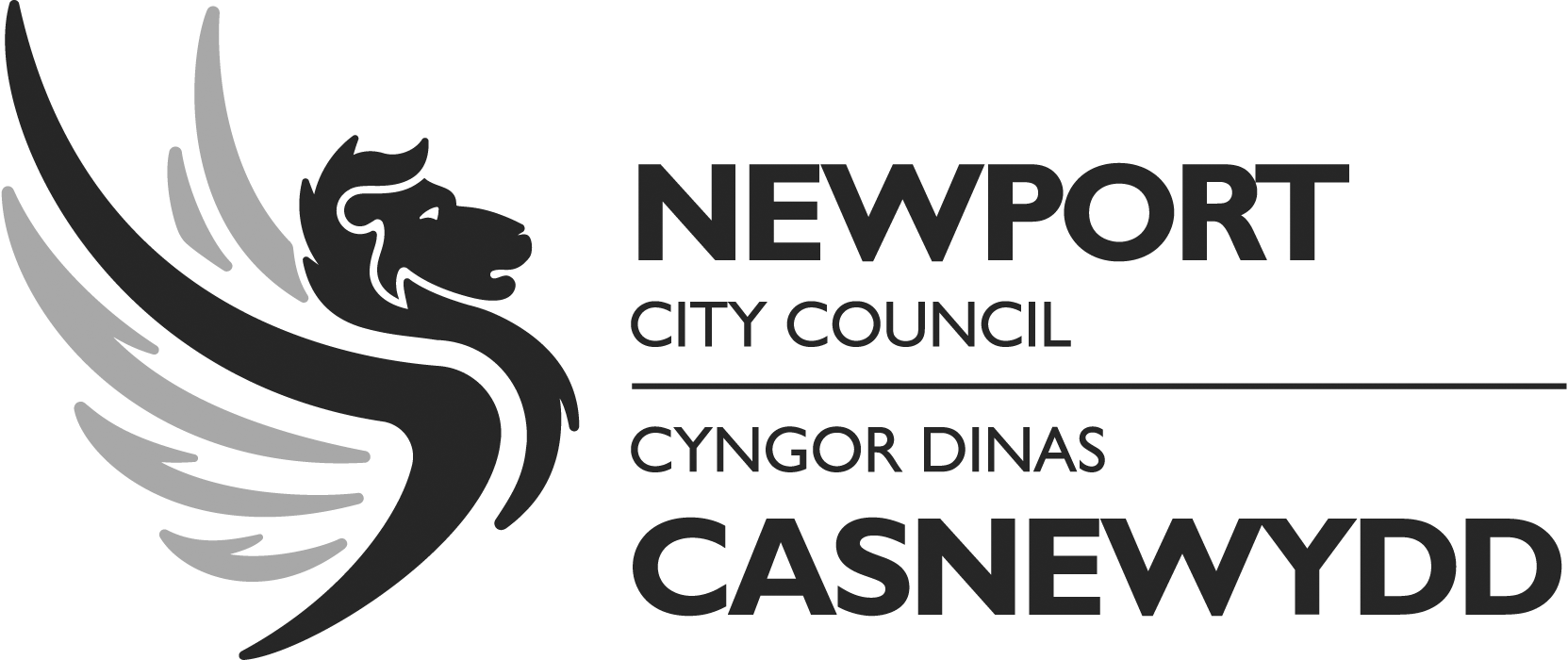 Newport City Council – local authority client of Procter Fencing & Security